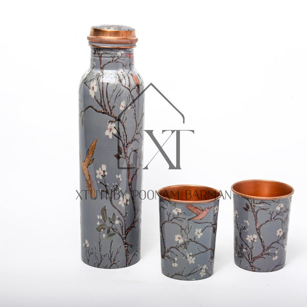 Hummingbird copper tumblers with bottle set